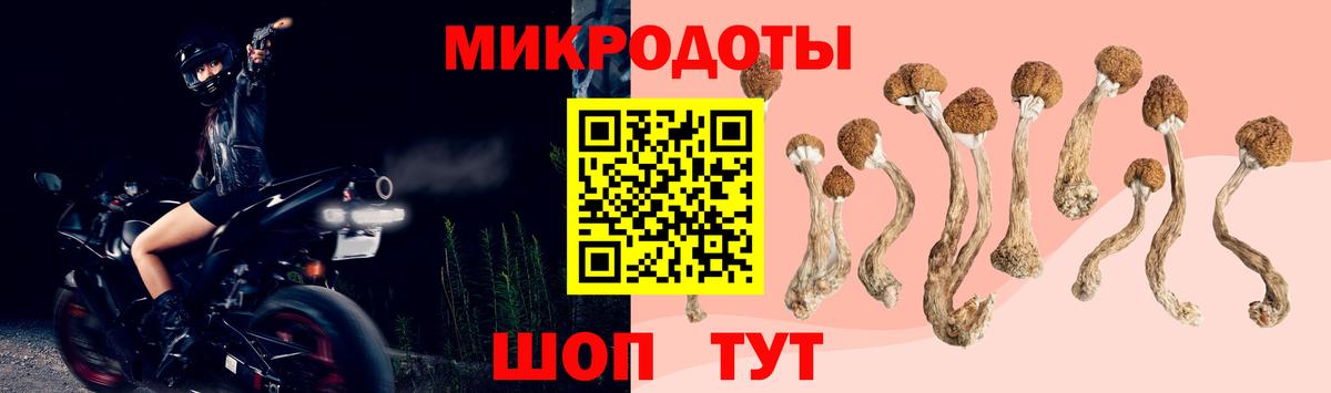 Псилоцибиновые грибы Magic Shrooms  наркошоп  Ачхой-Мартан  Псилоцибиновые грибы GOLDEN TEACHER  Вход с VPN 