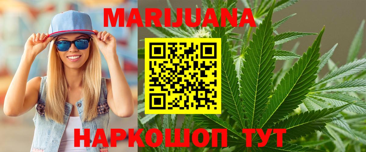 Канабис планчик Ачхой-Мартан