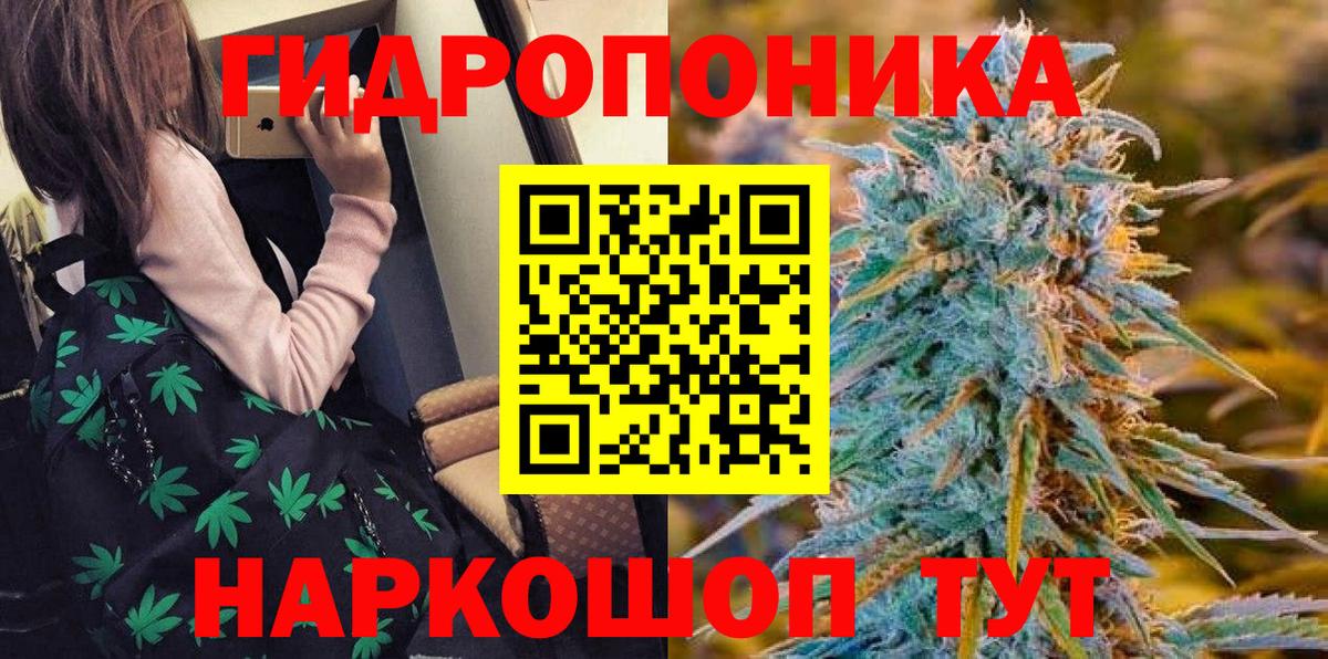 Ачхой-Мартан  Конопля семена  Вход с VPN  Конопля семена  Канабис гибрид  Конопля гибрид 
